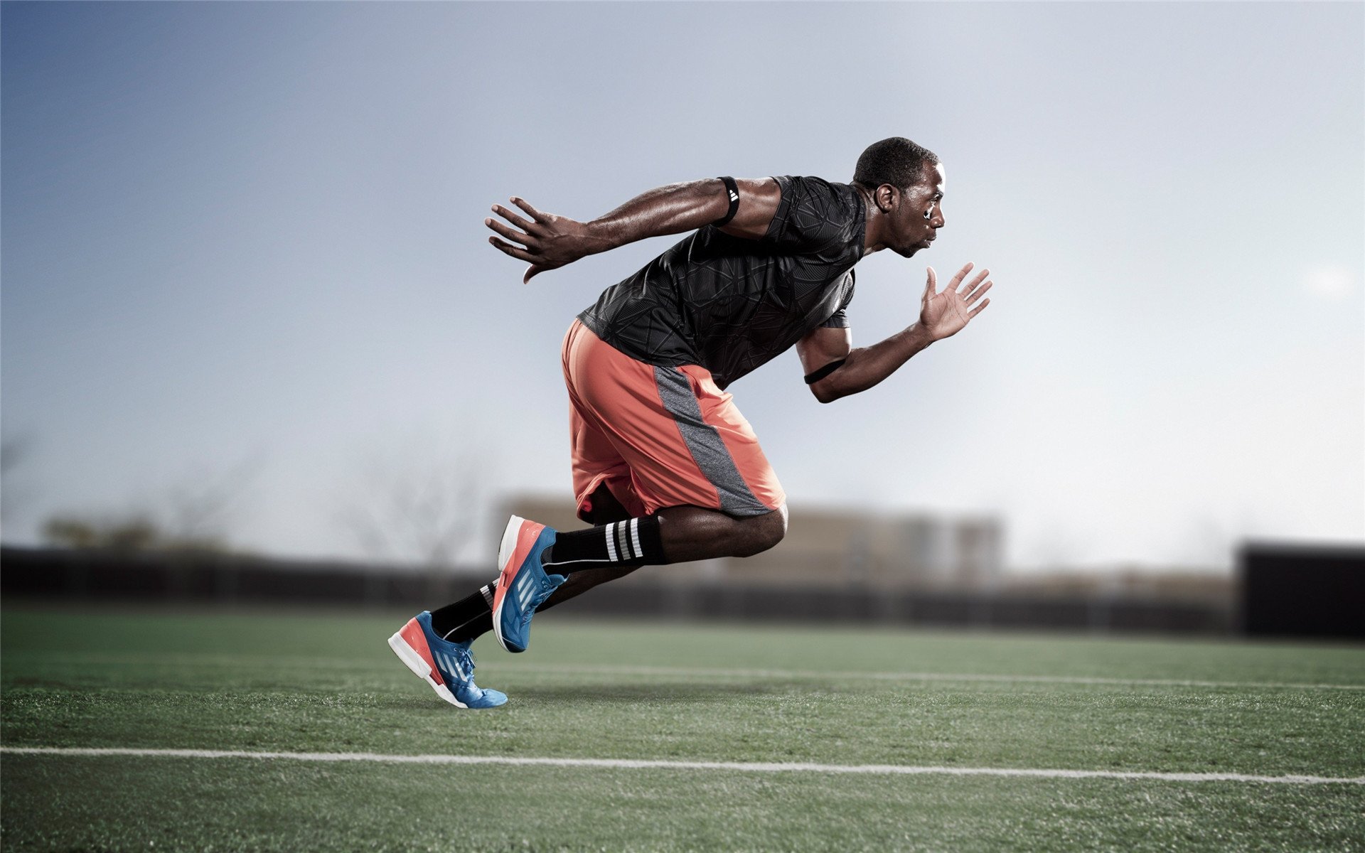 全球体育赛事盘点